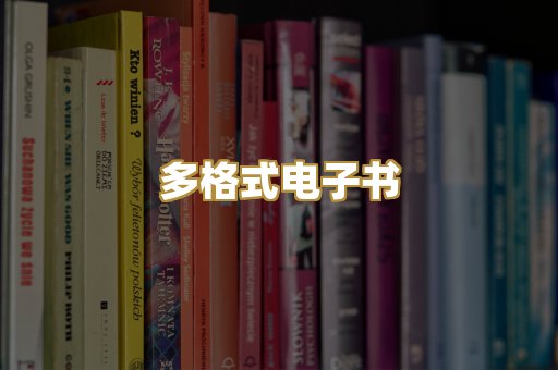多格式电子书